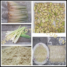 FROZEN SLICES LEMONGRASS/ SLICES CITRONELLA